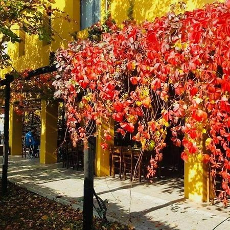 Cascina Bosco Gerolo Villa Ривергаро Екстериор снимка